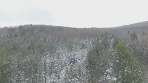 SNOW COVERED MOUNTAIN PINE TREES PENNSYLVANIA AERIAL PAN Video stock 146905897