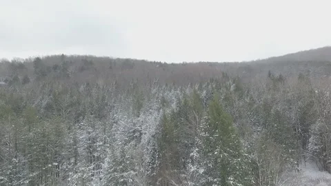 SNOW COVERED MOUNTAIN PINE TREES PENNSYLVANIA AERIAL PAN slow motion Video stock 146908533