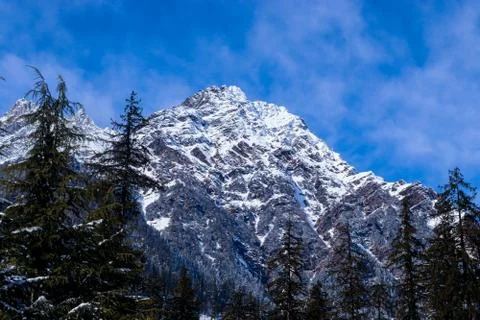 Snow-covered mountain with pine trees at the bottom of the mountain Fotos de archivo