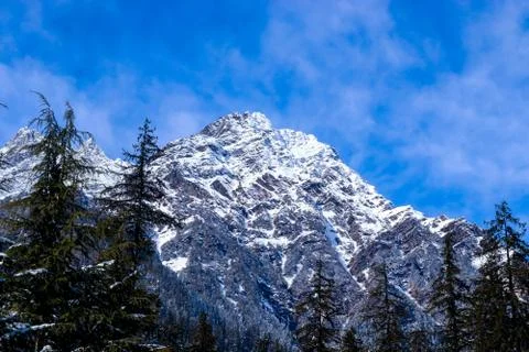 Snow-covered mountain with pine trees at the bottom of the mountain Fotos de archivo