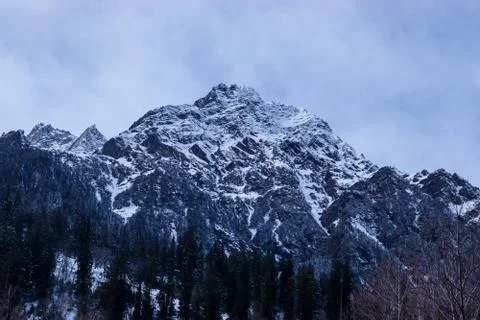 Snow-covered mountain with pine trees at the bottom of the mountain Fotos de archivo