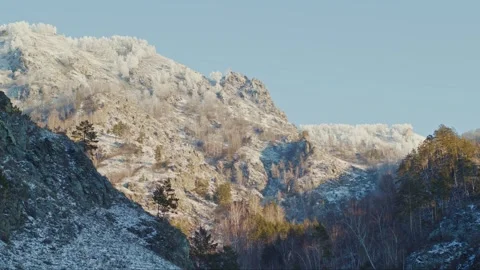 Snow-Covered Mountain Range With Foreground Trees Stock Footage 268730792