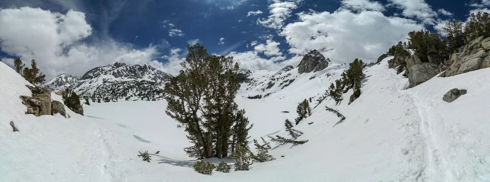 A snow covered mountain range with a tree in the foreground Stock Photos