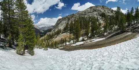A snow covered mountain range with trees in the foreground Foto stock