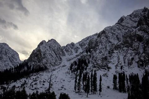 Snow-Covered Mountain Ridge with Dramatic Bright Sky and Tall Trees Stock Photos