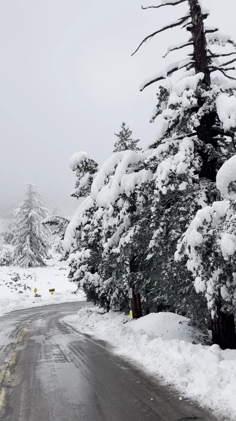 Snow Covered Mountain Road 動画素材 263930109