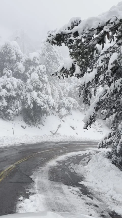 Snow Covered Mountain Road 動画素材 263930146