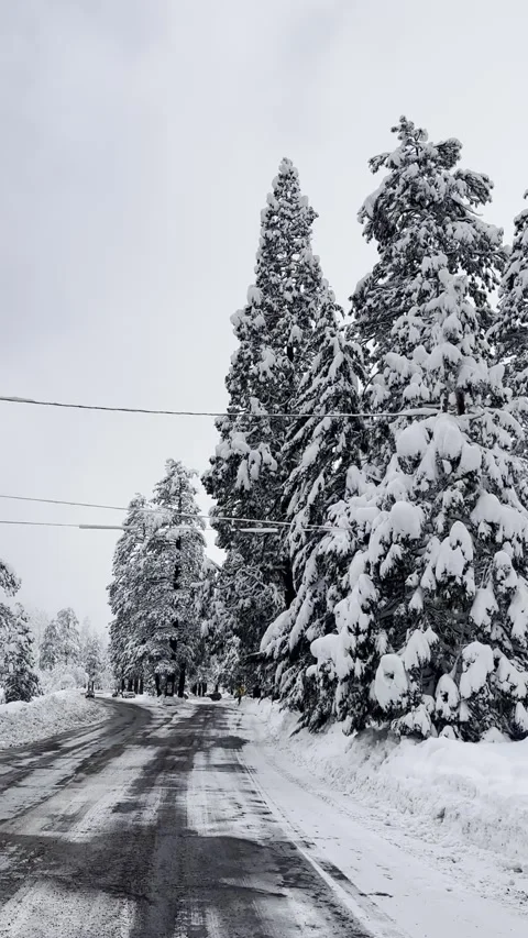 Snow Covered Mountain Road 스톡 동영상 263930196