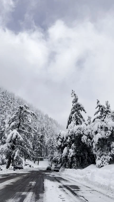 Snow Covered Mountain Road Vídeo Stock 263930202