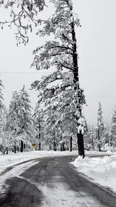 Snow Covered Mountain Road Vídeo Stock 263930226