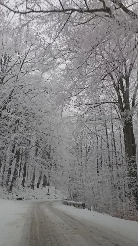 Snow covered mountain road seen from a moving vehicle with white icy trees .. Stock-Footage 328282510