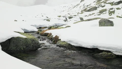 Snow-covered mountain stream with water and mossy rocks during late winter Stock Footage 306152107