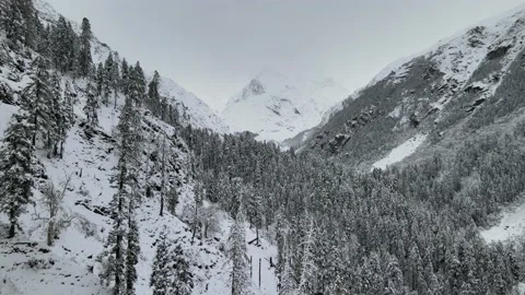 Snow covered mountain valley trees. camera flying close to trees. aerial dron Stock Footage 157708745