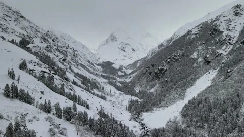 Snow covered mountain valley trees. aerial drone shot after heavy snowfall. w Video stock 157709093