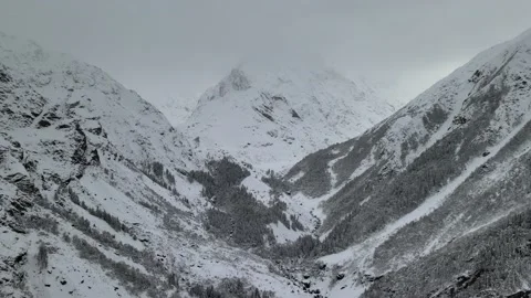 Snow covered mountain valley trees. aerial drone shot after heavy snowfall. w Stock Footage 157762717