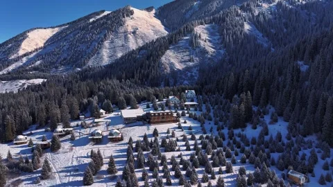 Snow covered mountain village and pine forest in winter Stock Footage 314681553