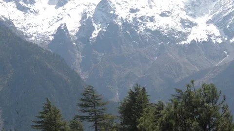 Snow covered mountain with wind blowing trees in the foreground. Nature bac.. Stock Footage 236939872