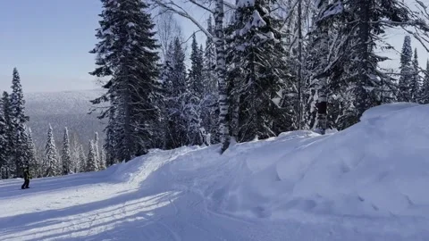 A snow-covered mountain winter forest with a ski lift at a ski resort. Видео 321564187