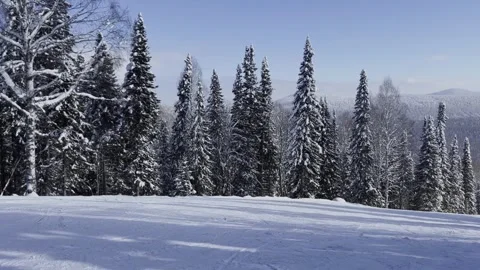 A snow-covered mountain winter forest with a ski lift at a ski resort. Видео 321564226