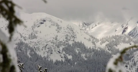 Snow covered mountains and pine forest during winter Stock Footage 77800304