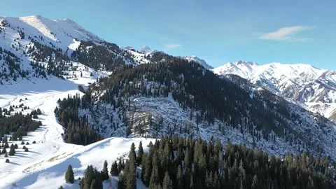 Snow-covered mountains and pine forests in winter Stock Footage 314681124