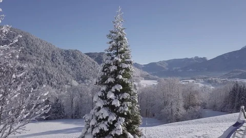 Snow covered Mountains and Trees  Vídeo Stock 88706432