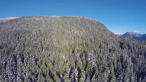 Snow Covered Mountains Vidéo 80276535