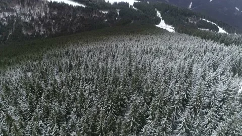 Snow covered mountains Stock Footage 171088074