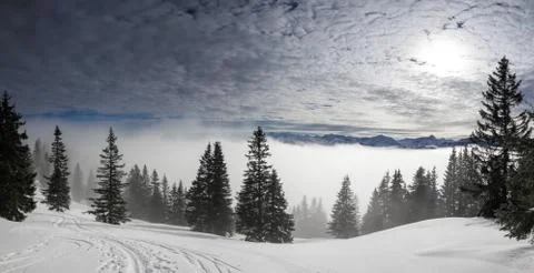 Snow covered mountains with inversion valley fog and trees shrouded in mist Stock Photos