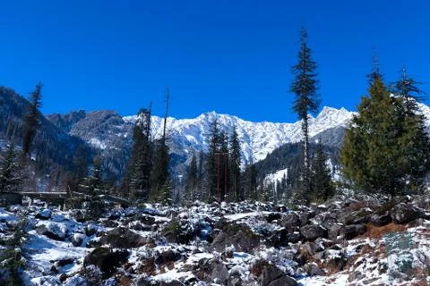 Snow-covered mountains with pine trees in the background and rocks covered wi Fotos de archivo
