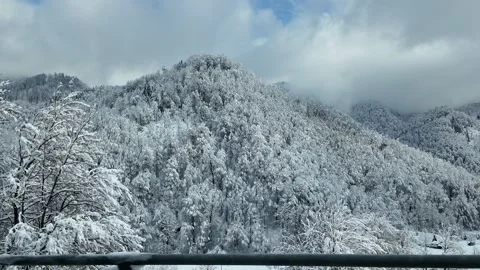 Snow-covered mountains with trees in the clouds during winter. Stock Footage 312885737
