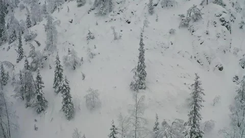 Snow-covered mountains in winter showcasing trees and rugged terrain at a remote Stock Footage 289009488