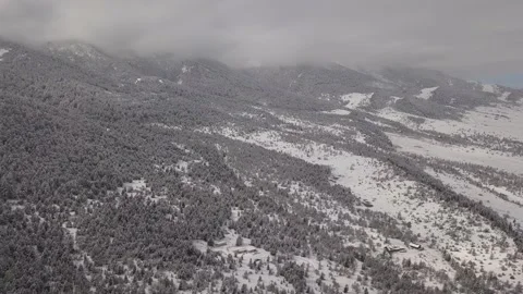 Snow covered mountainside forest Stock Footage 166239625