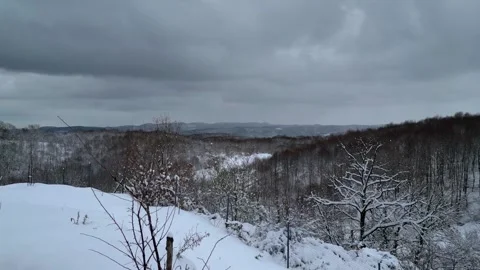 Snow-Covered Olive Tree Overlooking Winter Mountain Forest Stock Footage 328979614