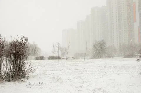 Snow covered park and trees in the city in the morning. Stock Photos