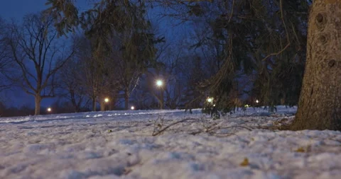 Snow-covered Park With Bare Trees At Night In Winter Stockbeeldmateriaal 331218286
