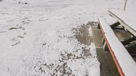 Snow-Covered Park Bench on a Winter Day Stock Footage 256527485