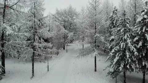 Snow covered park from a drone Stock Footage 169426514