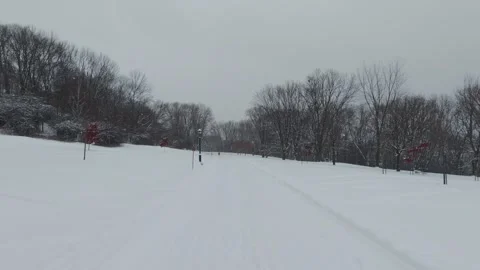 Snow Covered Park During Overcast Winter Day 스톡 동영상 323423252