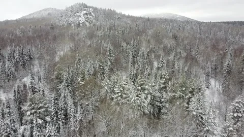 Snow-covered park Stock Footage 305186623