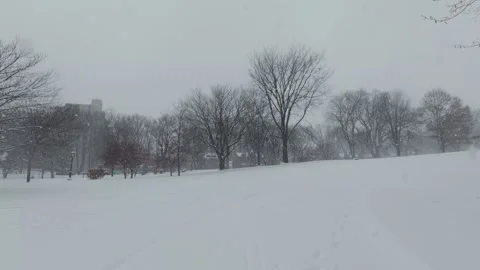 Snow Covered Park Landscape in Cold Weather Stock Footage 323424198