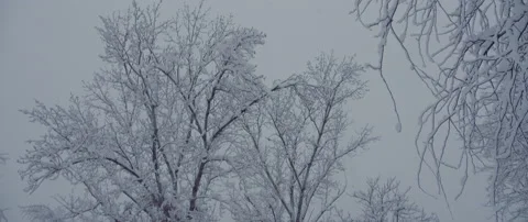 Snow covered park. massive blizzard. madrid Stock Footage 148388852