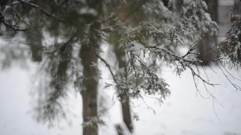 Snow covered park - moving Stock Footage 70790912