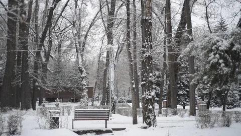 Snow covered park - pan Stock Footage 70790886