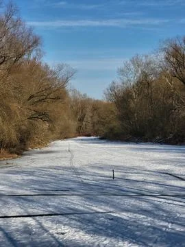 Snow covered park path with bare trees Stock Photos