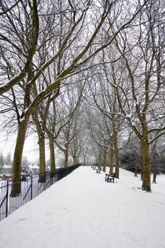 Snow-covered park. Stock Photos