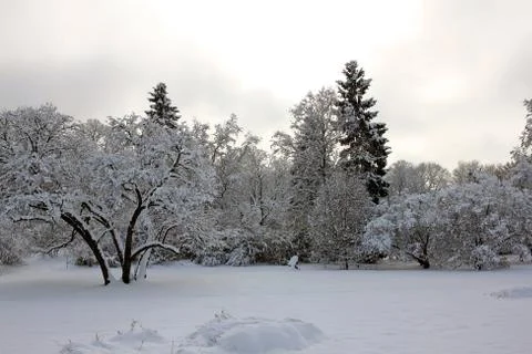 Snow-covered park Stock Photos