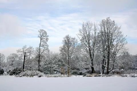 Snow-covered park Stock Photos
