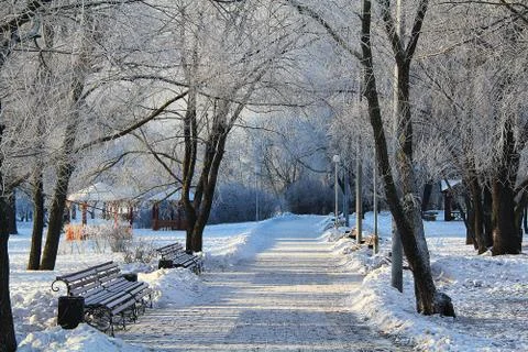 Snow-covered Park. Stock Photos
