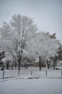 Snow Covered Park Fotos Stock